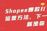 Shopee爆款打造核心运营方法，下一个大卖就是你