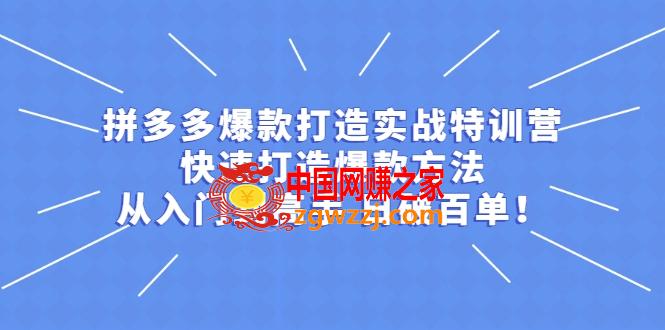 拼多多开店打造爆款实战教程，一套从新手到**课程