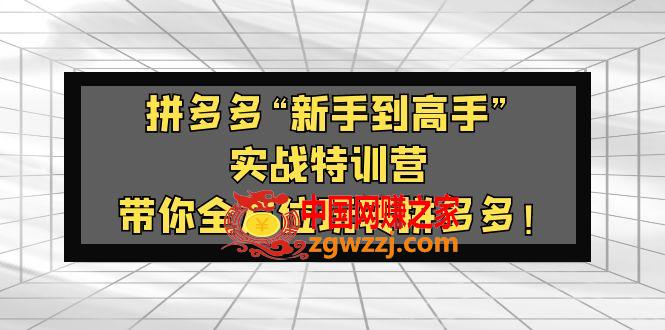 拼多多“新手到高手”实战特训营：带你全方位玩转拼多多！