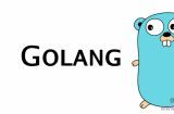 最新 Go语言零基础微服务项目
