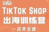 疯人院:TikTok Shop出海训练营（一店卖全球)，出海抢占全球新流量