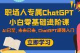 （7631期）职场人士专享ChatGPT新手零基础升阶课，AI已来，引领未来，ChatGPT极强新手入门