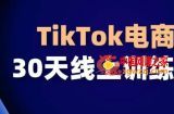 TikTok电商带货30天线上课，不可错过的全球流量洼地！