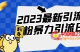 2023最新引流闲鱼创业粉暴力引流日引200+【揭秘】