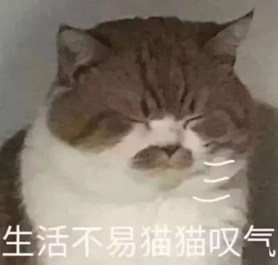 号称零撸的养猫赚钱真能赚钱？ 背后究竟是怎样的陷阱？,号称零撸的养猫赚钱真能赚钱？ 背后究竟是怎样的陷阱？,赚钱,背后,免费项目,号称,养猫,钱真,第1张