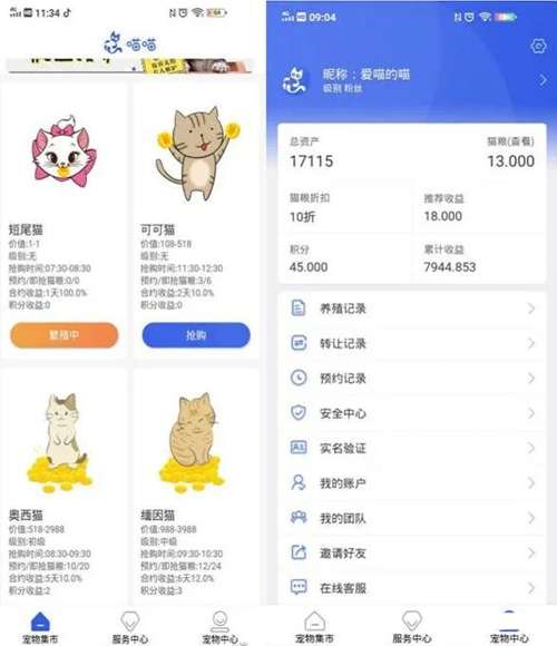 号称零撸的养猫赚钱真能赚钱？ 背后究竟是怎样的陷阱？