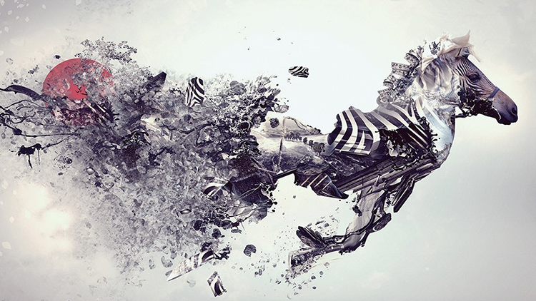 EDIUS Pro 7.5 edius入门到提高原创视频教程