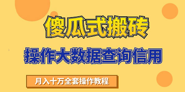 搬砖操作大数据查询信用项目赚钱教程