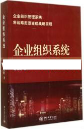 贾长松讲座视频《如何建设企业组织系统》