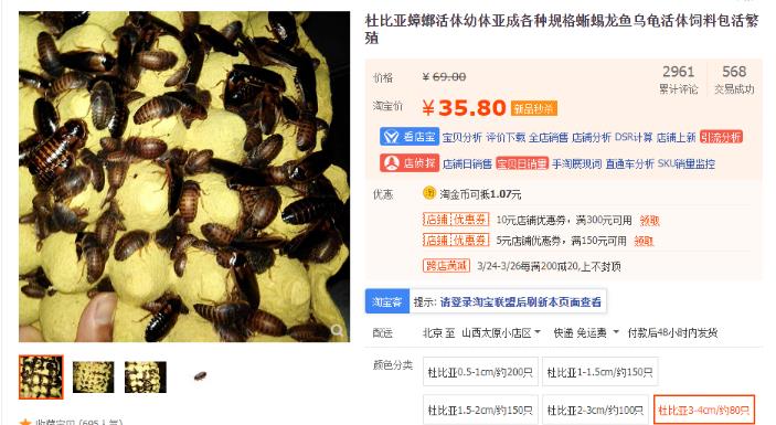 靠卖蟑螂药年赚几百万，内容电商路子太野了!