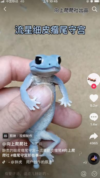靠卖蟑螂药年赚几百万，内容电商路子太野了!