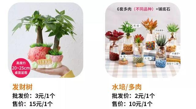 春节来临,赚钱的快速方法,十大偏门项目汇总