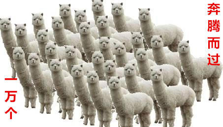 短视频可以直接搬运吗,多重导流日引千粉!