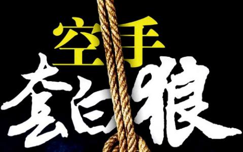 空手套白狼的赚钱方法,大学生**月入2万+