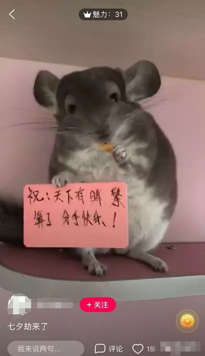 宠物举牌照,日赚200+的暴利项目