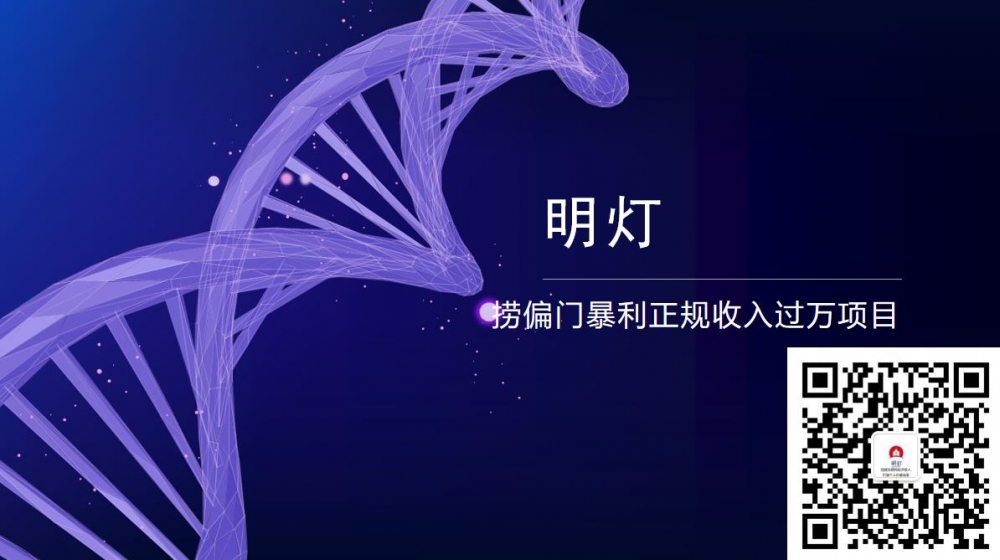 明灯副业三十六条小妙招之第27招捞偏门暴利正规收入过万项目