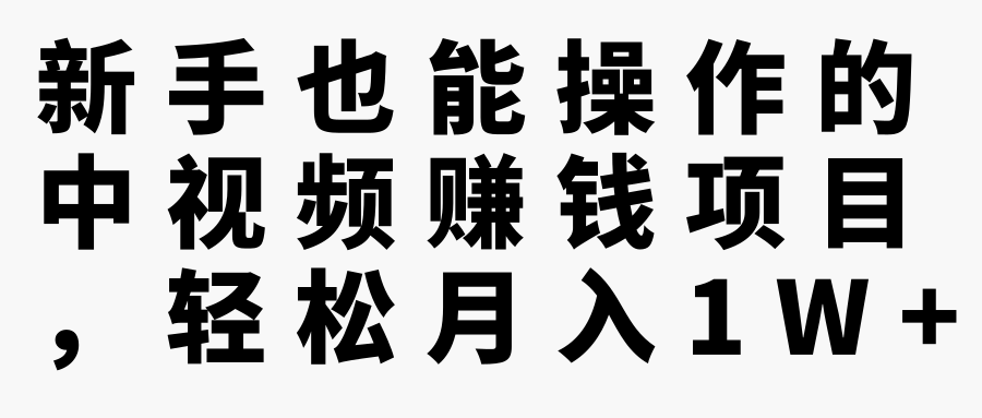 新手也能操作的中视频赚钱项目，轻松月入1W+【视频教程】