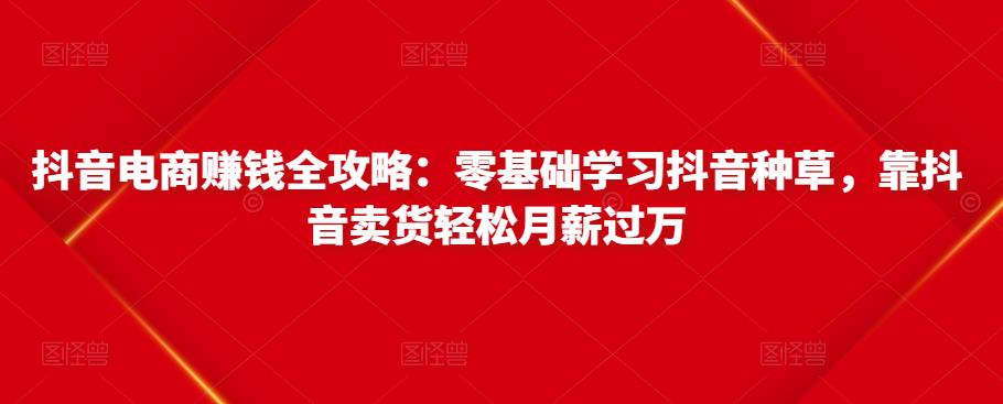 抖音电商赚钱全攻略:零基础学习抖音种草,靠抖音卖货轻松月薪过万