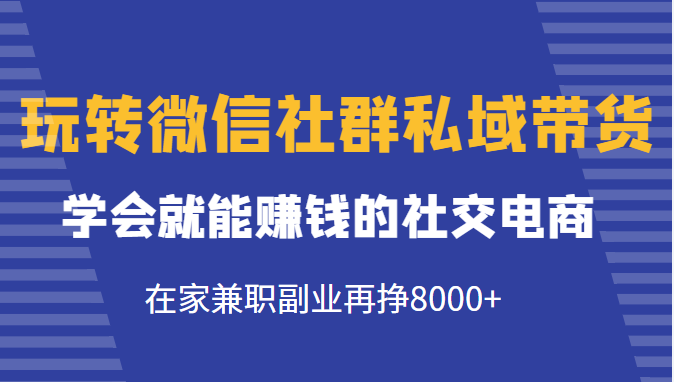 玩转微信社群私域带货，学会就能赚钱的社交电商，在家**副业再挣8000+