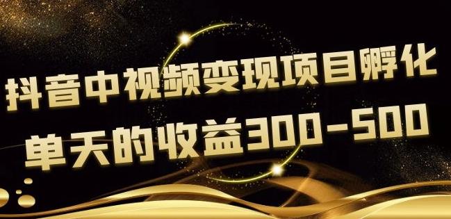 黄岛主《抖音中视频变现项目孵化》单天的收益300-500操作简单粗暴