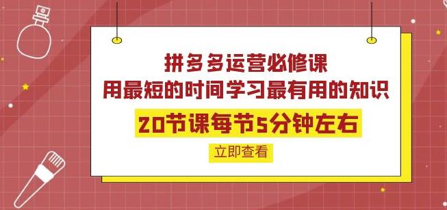 拼多多运营必修课：20节课每节5分钟左右，用最短的时间学习最有用的知识,拼多多运营必修课：20节课每节5分钟左右，用最短的时间学习最有用的知识,抖音0基础短视频实战课，短视频运营赚钱新思路，零粉丝也能助你上热门,第1张