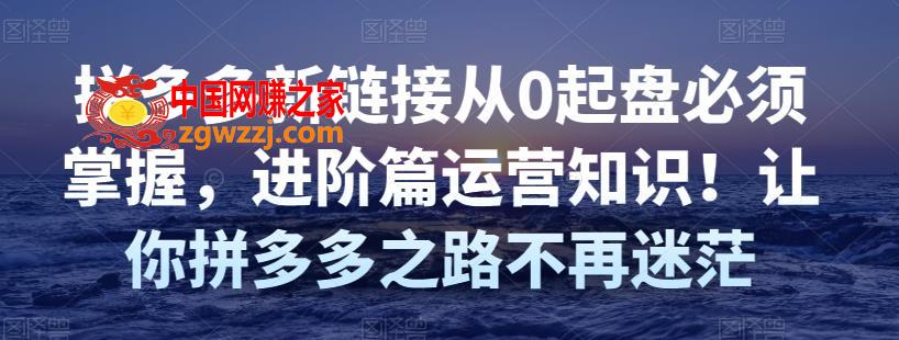 拼多多新链接从0起盘必须掌握，进阶篇运营知识！让你拼多多之路不再迷茫