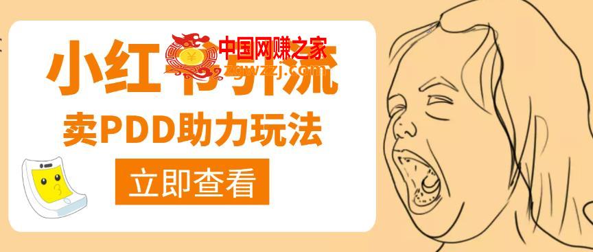 图片[1]-利用小红书卖拼多多助力，日赚100+，顺便还能引个流【视频课程】-阿灿说钱