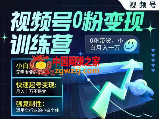 视频号0粉变现训练营，小白从0到1，快速起号变现，月入十万不是梦
