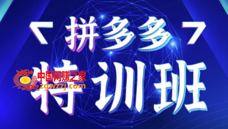 星雪教育·拼多多电商基础班+进阶班+突破班，用系统的学习模式快速改变现状价值3580元