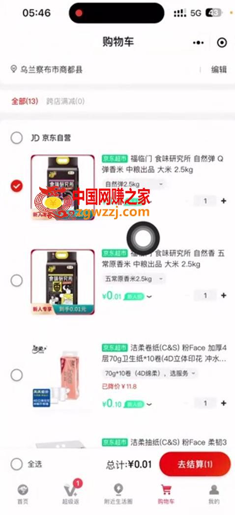 外面收费1980的最新京东无限一分购项目，一天轻松几百单（玩法+教程+软件）