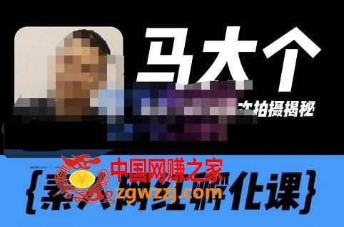 马大个素人网红孵化课【更新60节】，长期稳定变现，倒推账号定位，自我创号与选人孵化