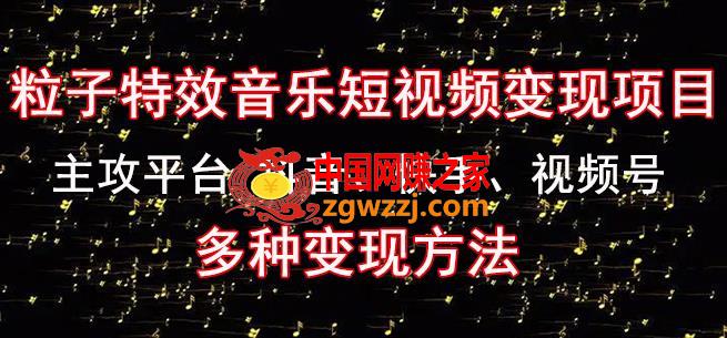 黄岛主《粒子特效音乐短视频变现项目》主攻平台抖音、快手、视频号多种变现方法