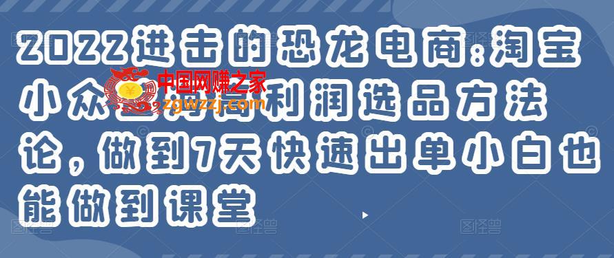 2022进击的恐龙电商:淘宝小众蓝海高利润选品方**，做到7天快速出单小白也能做到