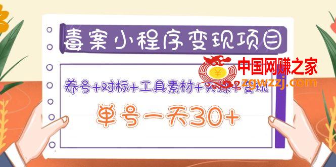 毒案小程序变现项目：养号+对标+工具素材+实操+变现，单号一天30+