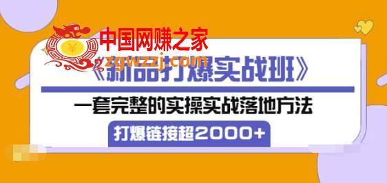 《新品打爆实战班》一套完整的实操实战落地方法，打爆链接超2000+（38节课)