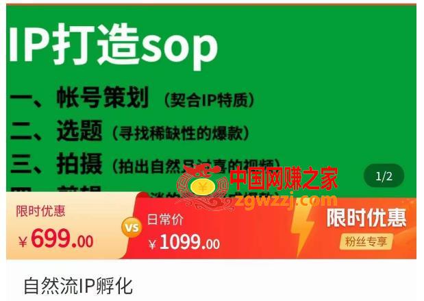瑶瑶·自然流IP孵化，系统掌握IP孵化全流程，也能学到选题，剪辑，账号运营经验