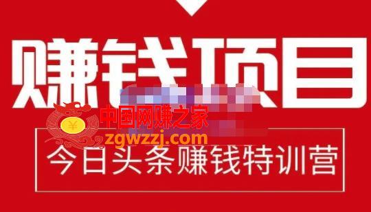 懒人领域·今日头条项目玩法，头条中视频项目，单号收益在50—500可批量