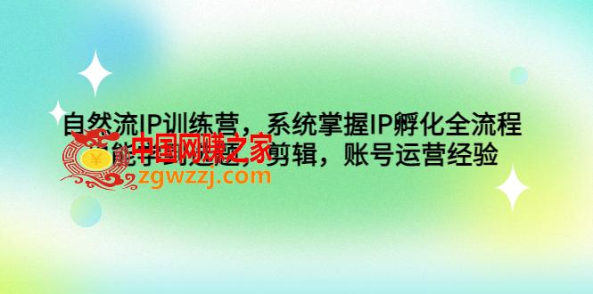 自然流IP训练营，系统掌握IP孵化全流程，也能学到选题，剪辑，账号运营经验