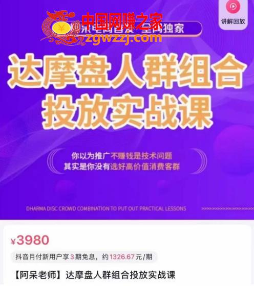 阿呆电商·达摩盘人群组合投放实战课，你以为推广不赚钱是技术问题，其实是你没有选好高价值消费客群