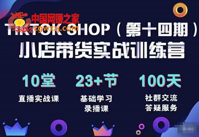 TikTokShop全球店带货训练营（14期）打开全球流量新思维，出海抢占全球新流量，一店卖全球
