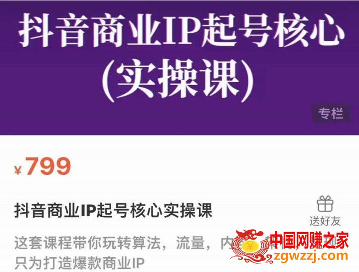 抖音商业IP起号核心实操课，带你玩转算法，流量，内容，架构，变现