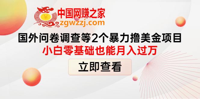 国外问卷调查等2个暴力撸美金项目，小白零基础也能月入过万