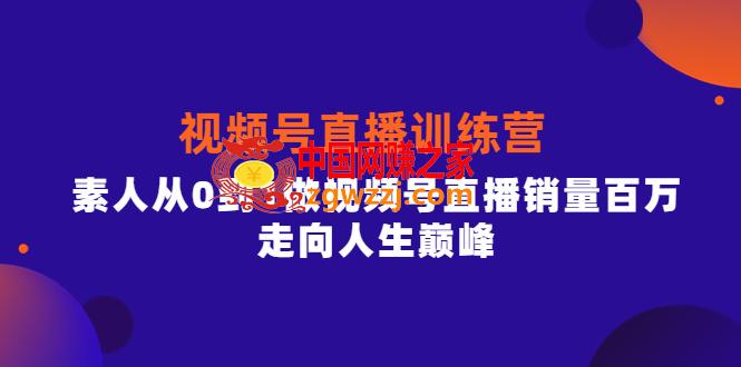 行动派·视频号直播训练营，素人从0到1做视频号直播销量百万，走向人生巅峰
