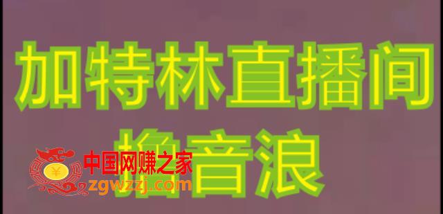 抖音加特林直播间搭建技术，抖音0粉开播，暴力撸音浪，2023新口子，每天800+【素材+详细教程】