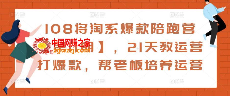 108将淘系爆款陪跑营【第11期】，21天教运营打爆款，帮老板培养运营