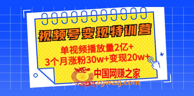 20天视频号变现特训营：单视频播放量2亿+3个月涨粉30w+变现20w+