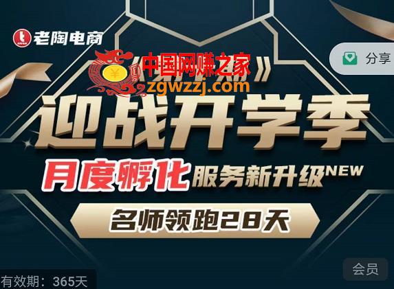 拼多多名师线上领跑28天-第10期:迎战开学季 月度孵化 实操复盘
