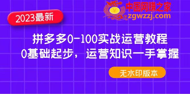 2023年拼多多0-100实战运营教程，0基础起步，运营知识一手掌握（无水印）