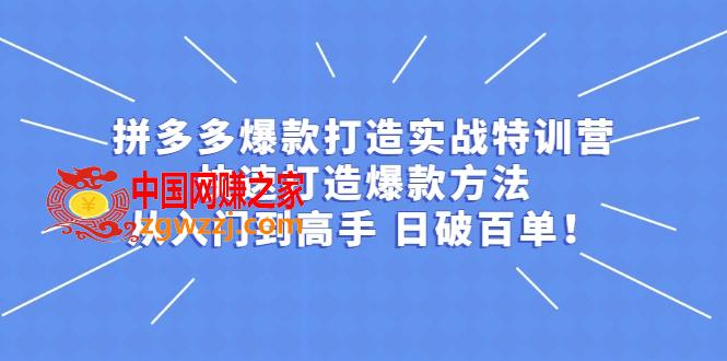 拼多多开店打造爆款实战教程，一套从新手到**课程