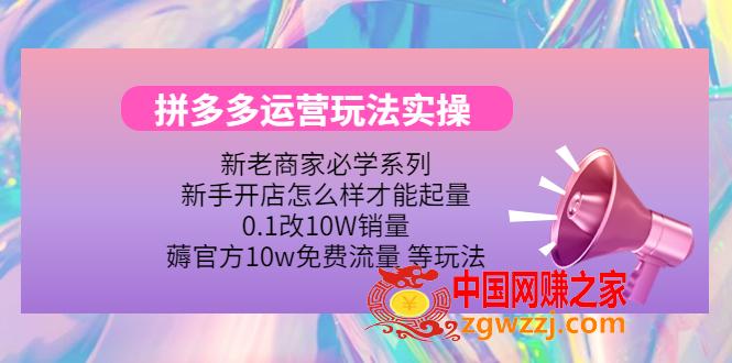 拼多多运营玩法实操，0.1改10W销量，薅官方10w免费流量 等玩法！
